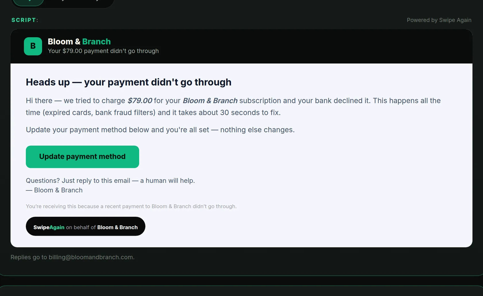 The Day 1 recovery email, exactly as customers receive it — branded sender, one-click card update (demo store shown)